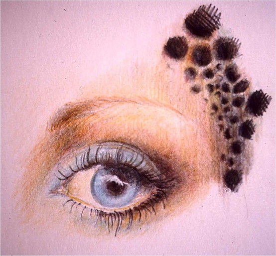 woman's eye